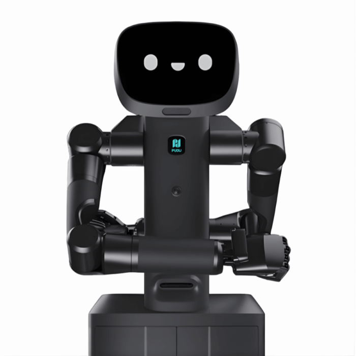 FlashBot Arm Semi-Humanoid Embodied AI Service Robot