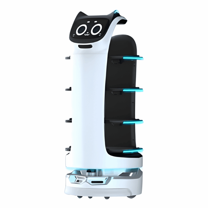 Bellabot Premium Delivery Robot