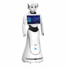 Alice AI Service Robot