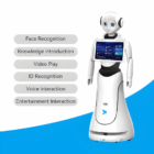 Alice AI Service Robot