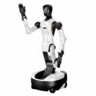Agibot G2 Lite Robot