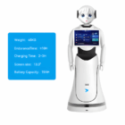 Alice AI Service Robot