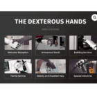 Dexterous Hand by Inspire robotics