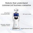 Alice AI Service Robot