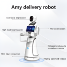 Amy Delivery Robot