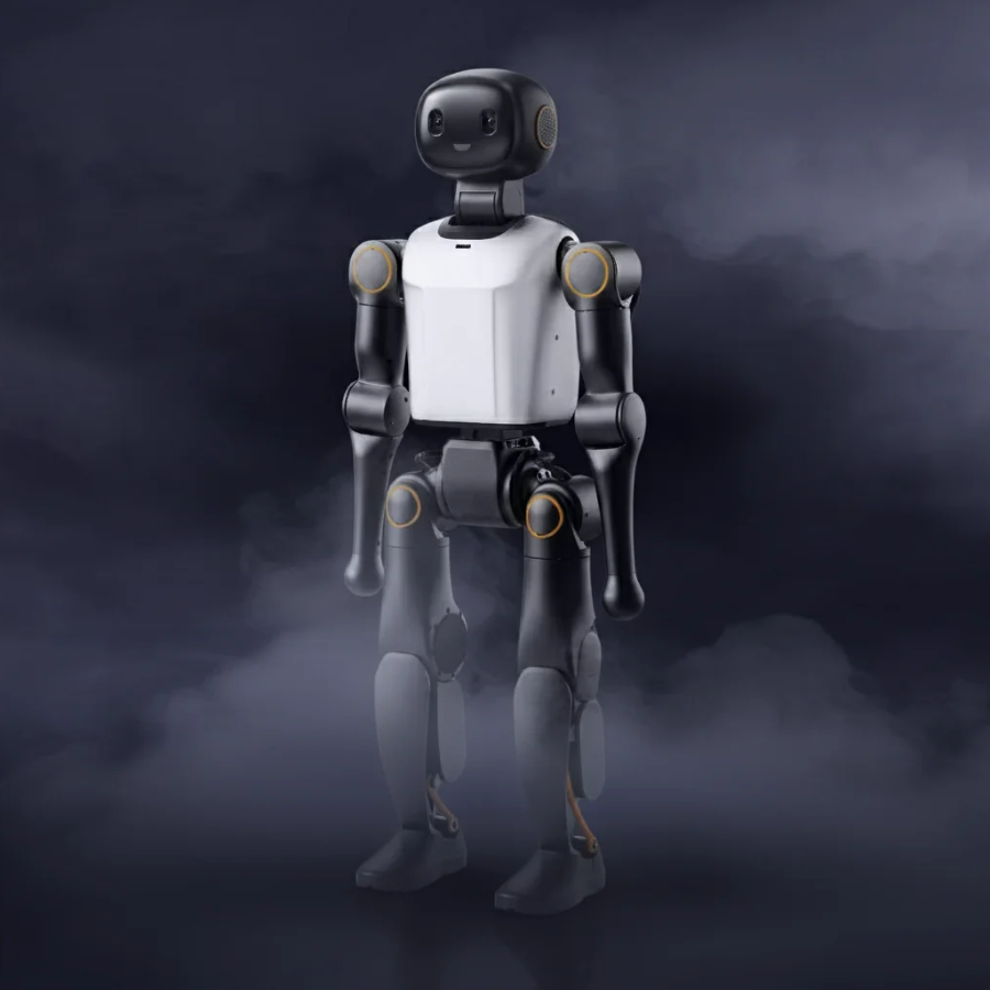 Booster K1 Humanoid Robot