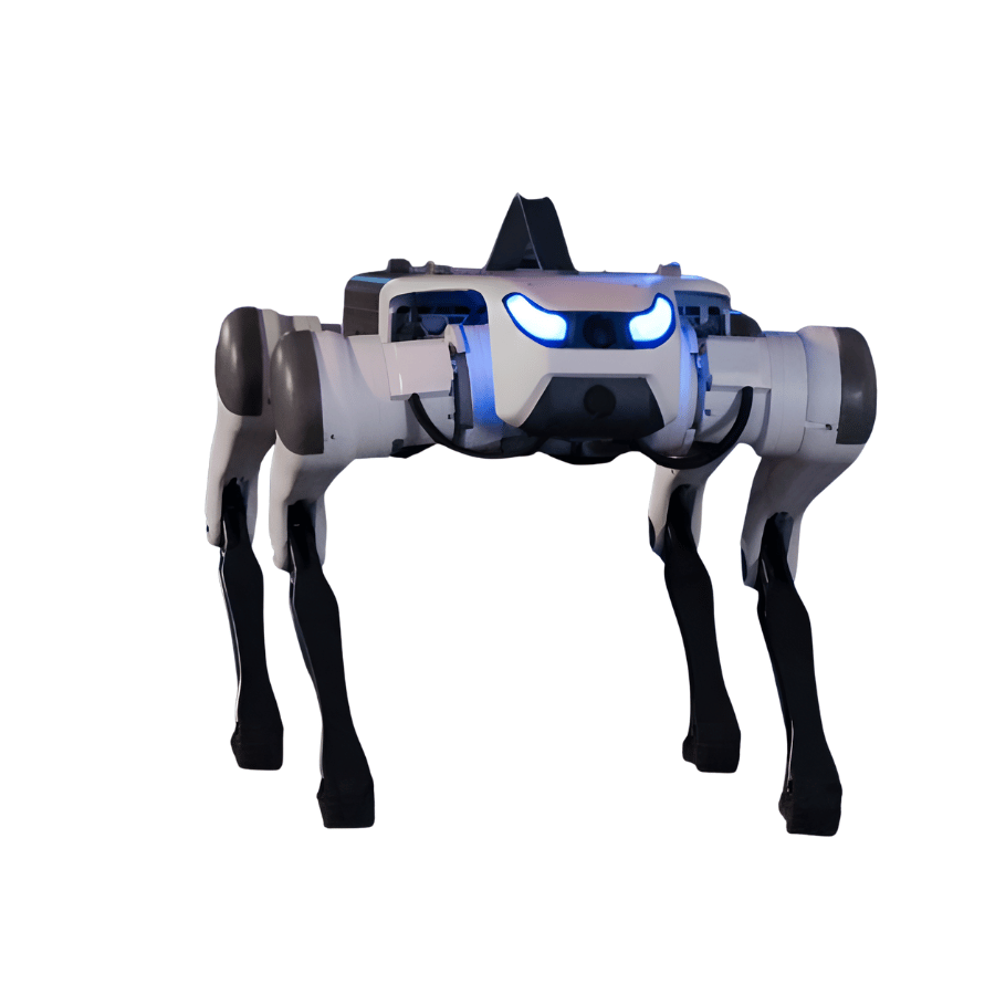 Quadruped Robot Lite 3