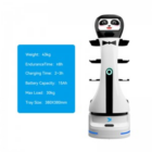 Panda Delivery Robot