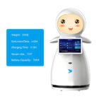 Snow AI Service Robot