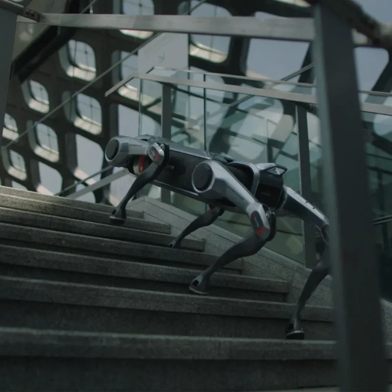 EngineAI JS01 Quadruped Robots