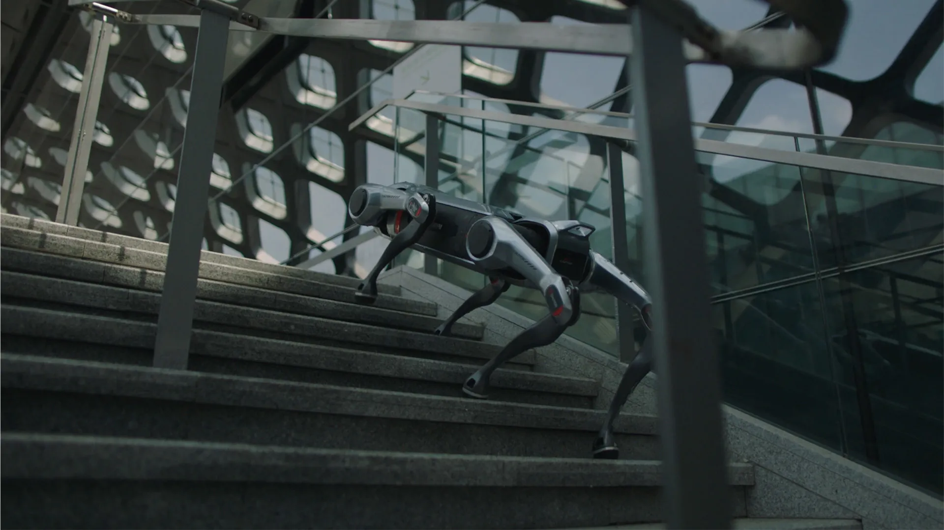 EngineAI JS01 Quadruped Robots